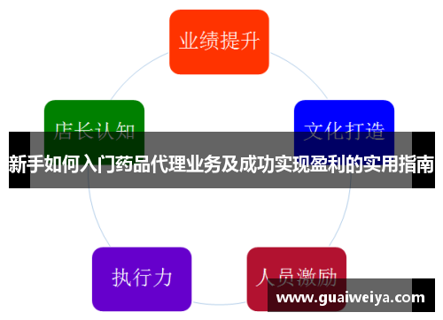 新手如何入门药品代理业务及成功实现盈利的实用指南