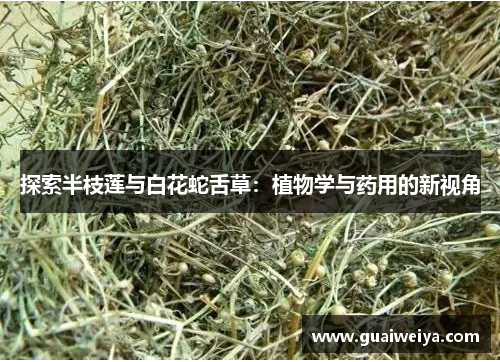 探索半枝莲与白花蛇舌草：植物学与药用的新视角